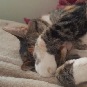 Meet your Posher, Margaret